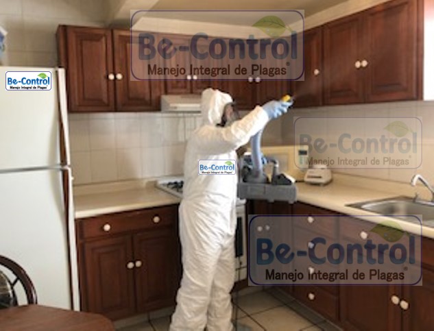 SanitizadoCocinaBeControl