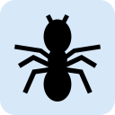 Insectos de la madera